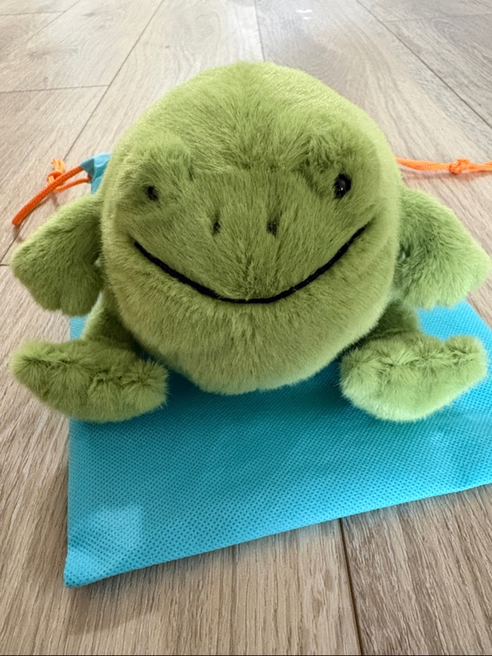 Jellycat Ricky Rain Frog Smiling - Picture 5 of 7
